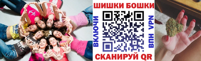 Бошки Шишки сатива  купить наркотики цена  Раменское 